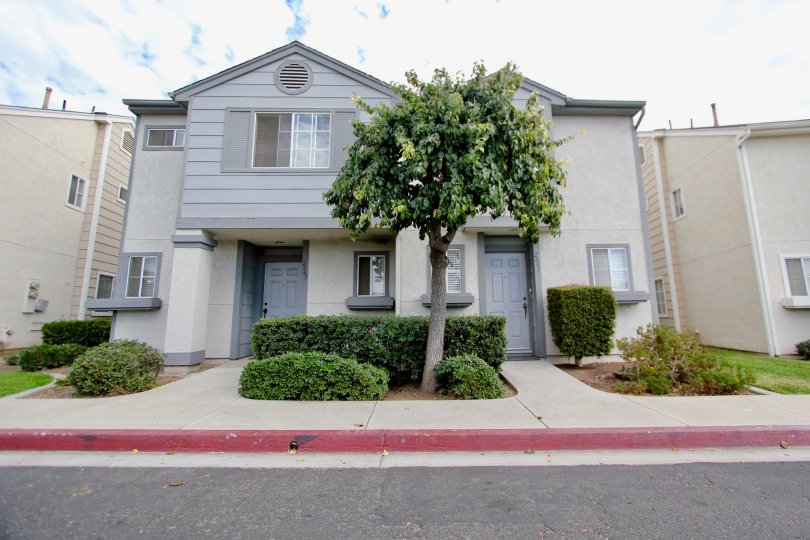 Ashford Park Spring Valley CA